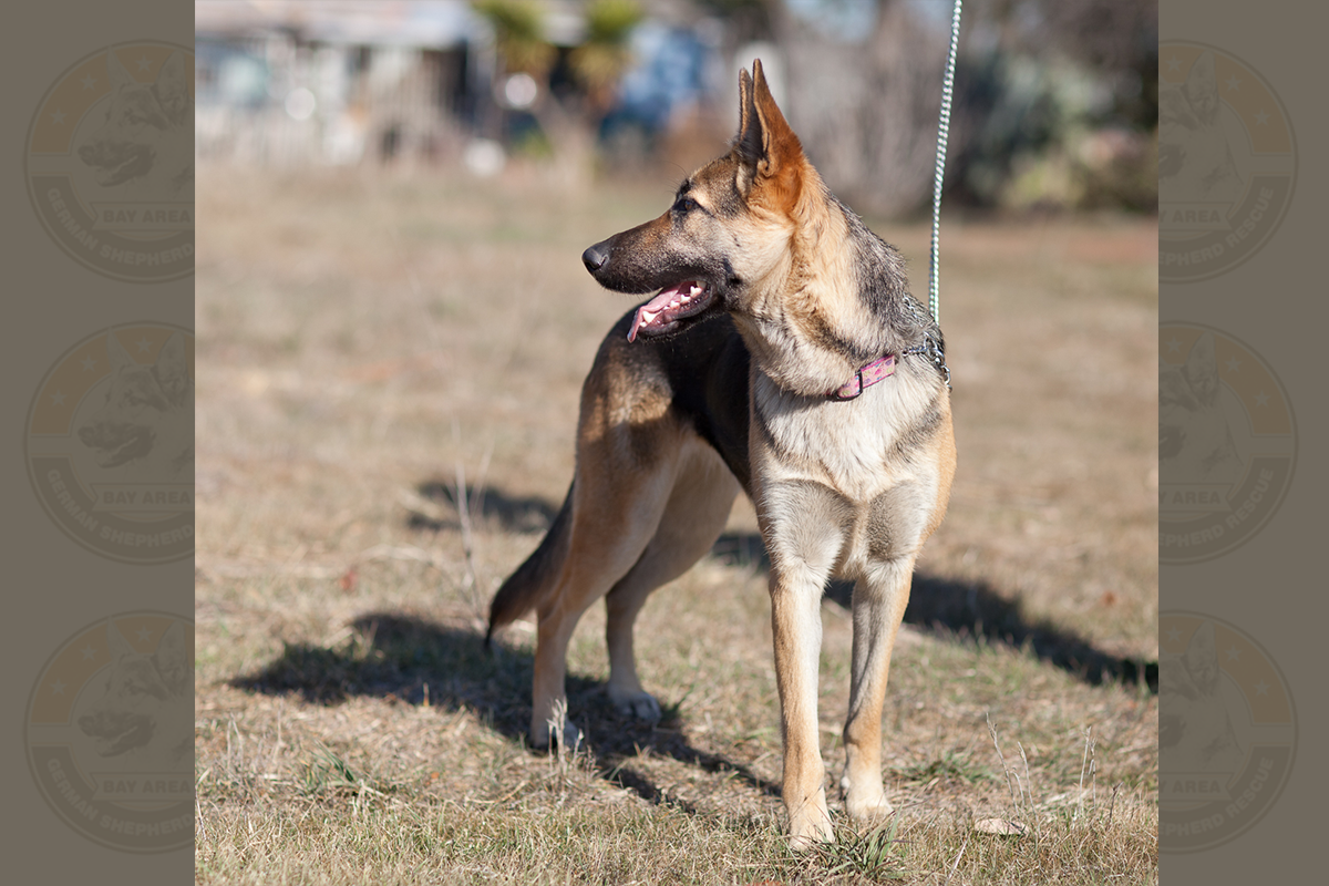 2014.01 - Tulsi small-0695