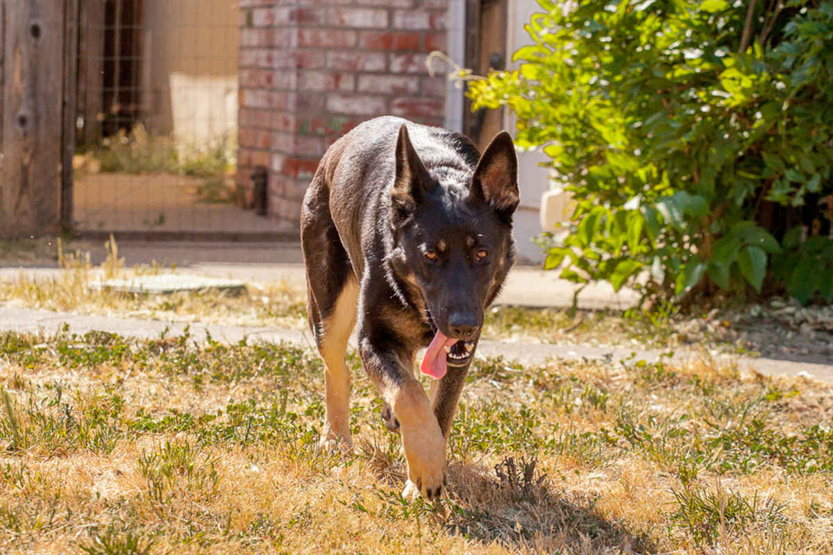 2014.06-Paloma-3029