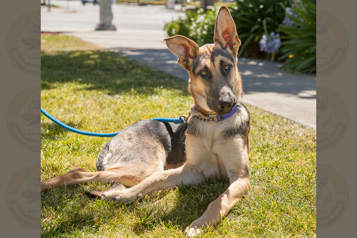 2014.07-Teagan-4167
