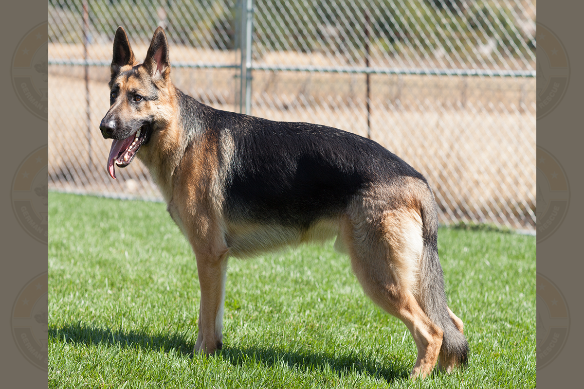 Axel-4917