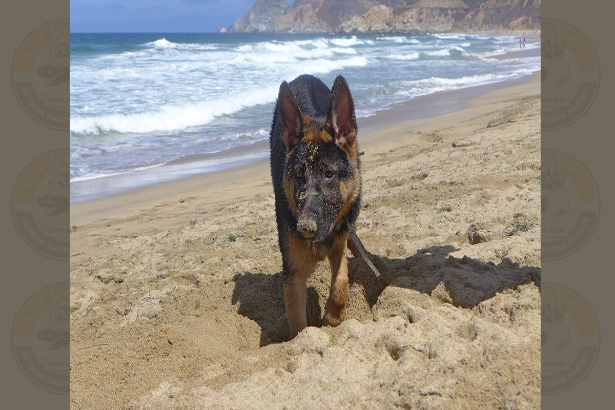 Burgi_Beach