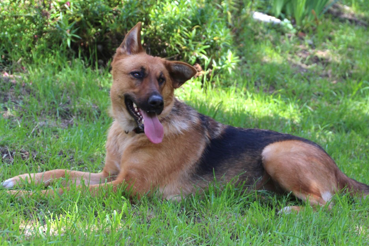 Chiqui-2