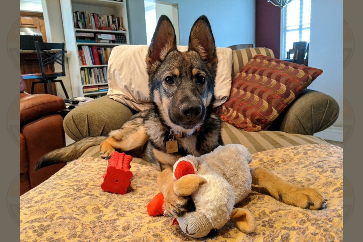Delwithtoy