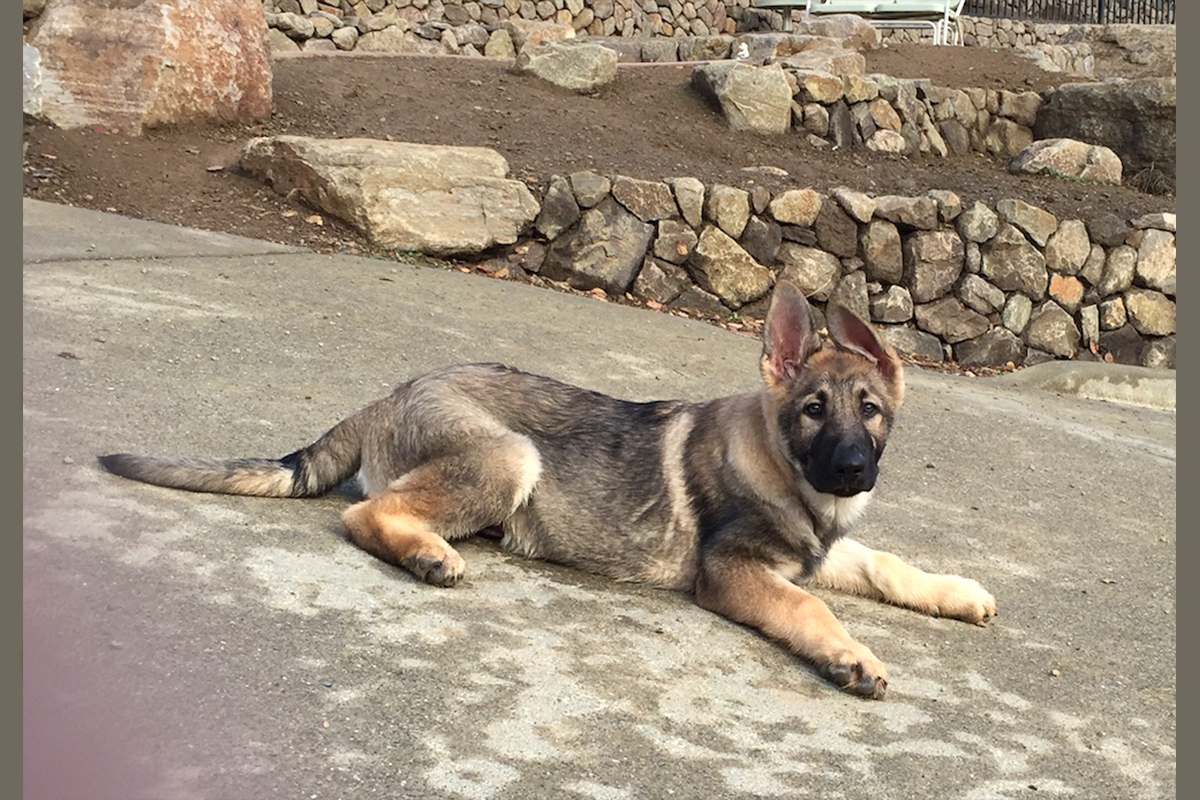 Kaiser_1