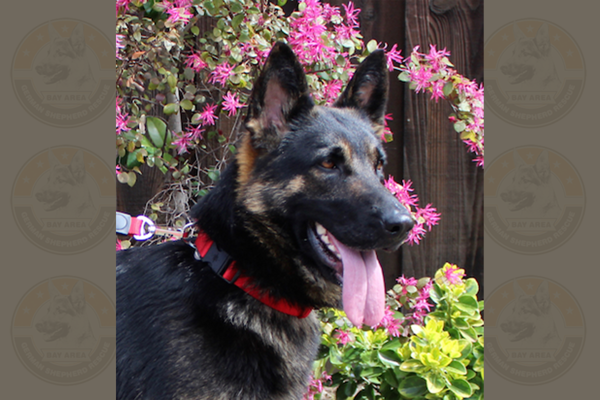 Kira1