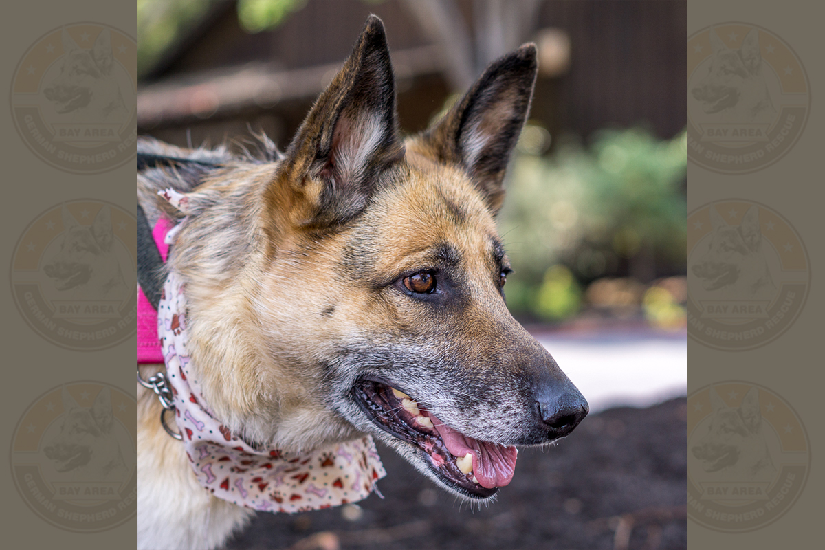 Maggie Mae-1