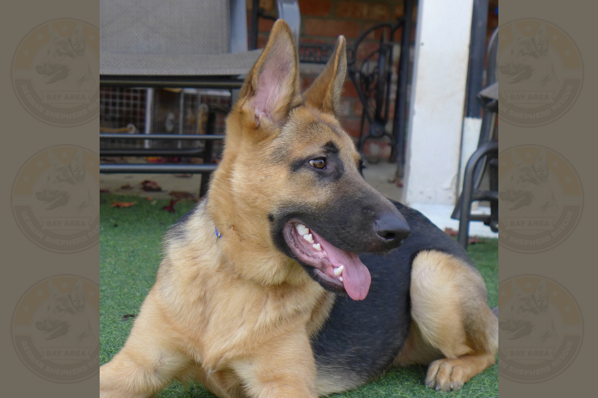 Maxton3