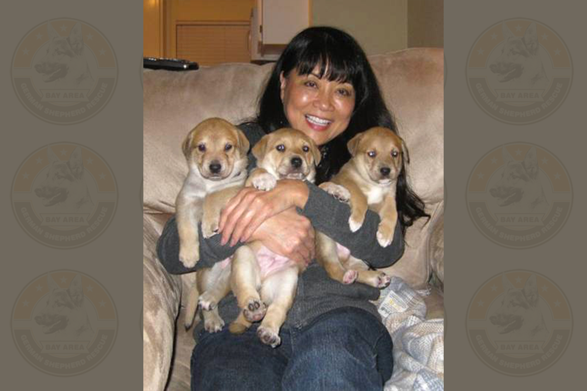 Pat with pups