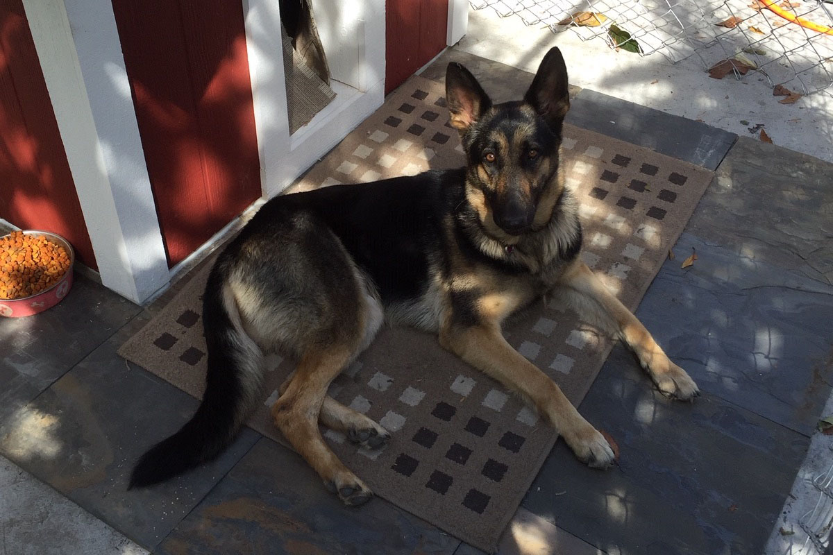 gertie_new_3