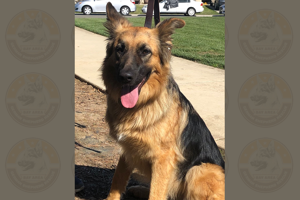 gheera_1