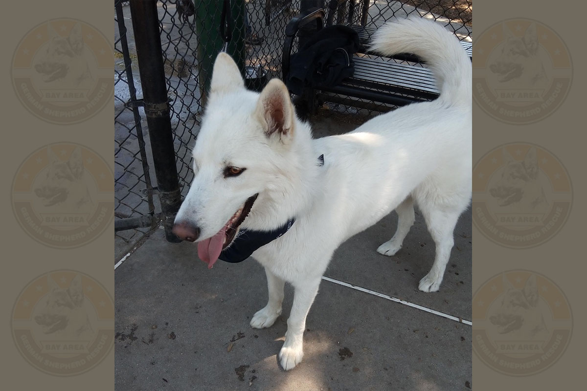 krypto_1
